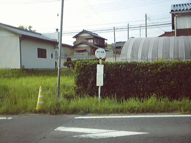 時崎辺田の全景