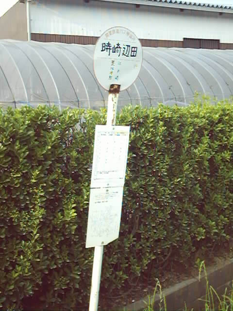 取り合えず、近づいてみました