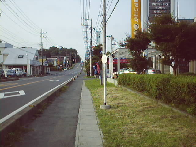 ぼぉっと立っているバス停